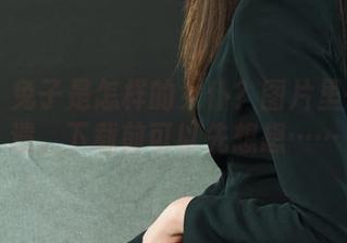 丽柜 – 兔子是怎样的女仆？图片里一览无遗，下载前可以先想想……